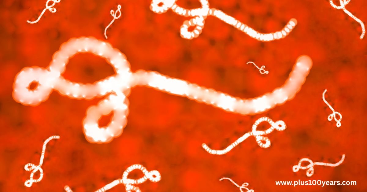 Ebola virus diseases