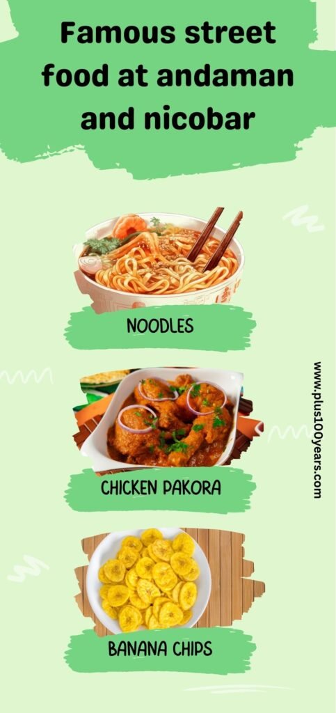 famous street food at andaman and nicobar 