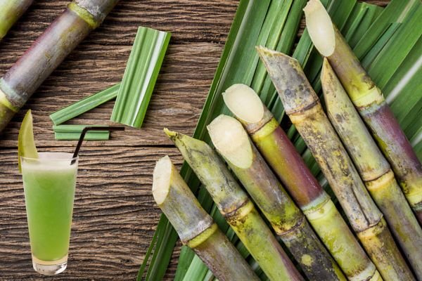 Is Sugarcane juice good for Summer or Winter