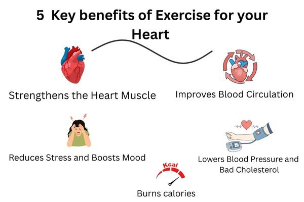 key benefits of exercise for heart 