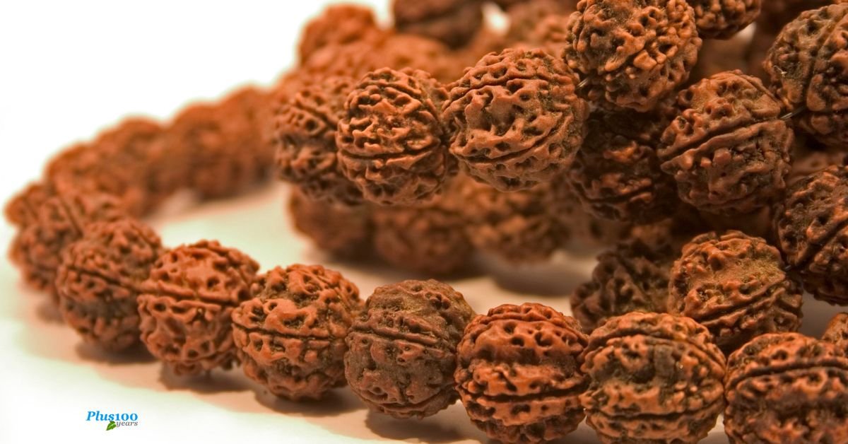 rudraksha for health