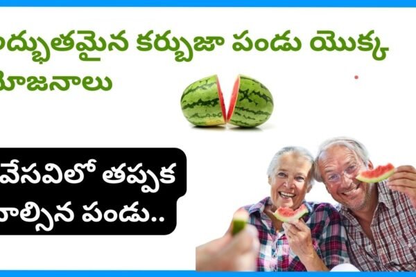 watermelon benefits in telugu