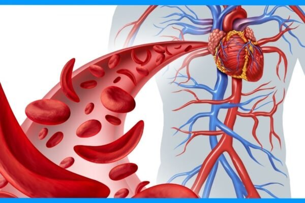 What Are Common Heart Problems What Are Common Heart Problems