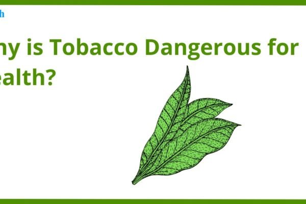 why tobacco is dangerous for health