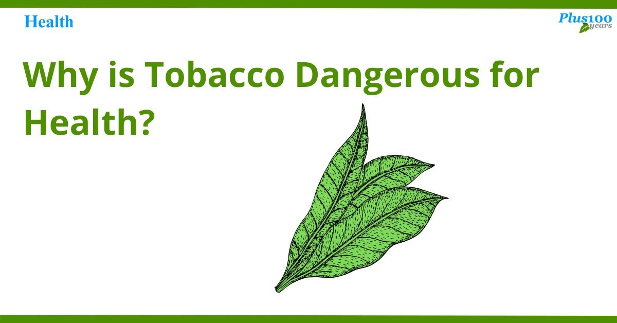 why tobacco is dangerous for health
