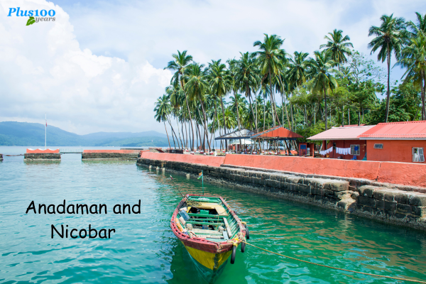 Andaman And Nicobar Food