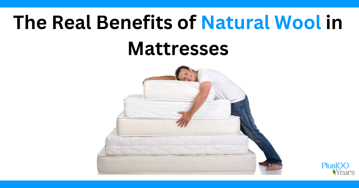 The Real Benefits of Natural Wool in Mattresses The Real Benefits of Natural Wool in Mattresses