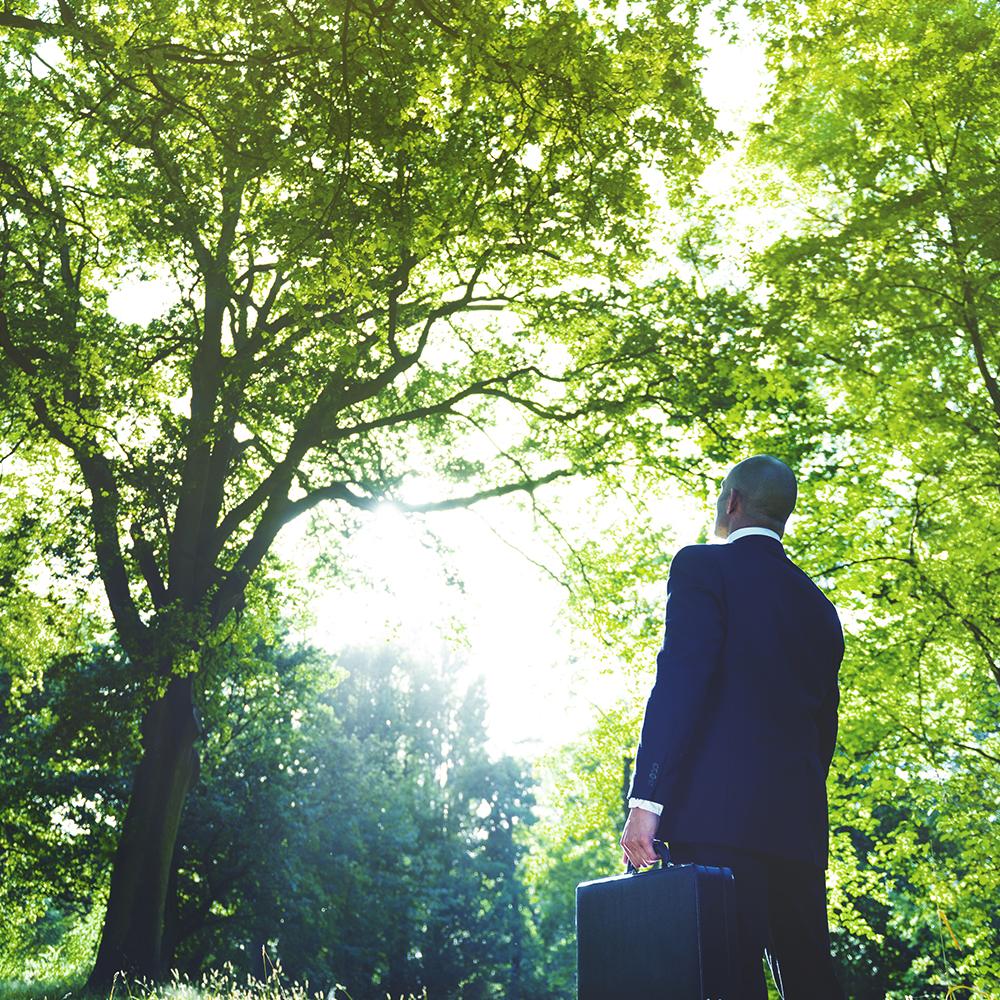 A businessman looks up at the forest canopy.